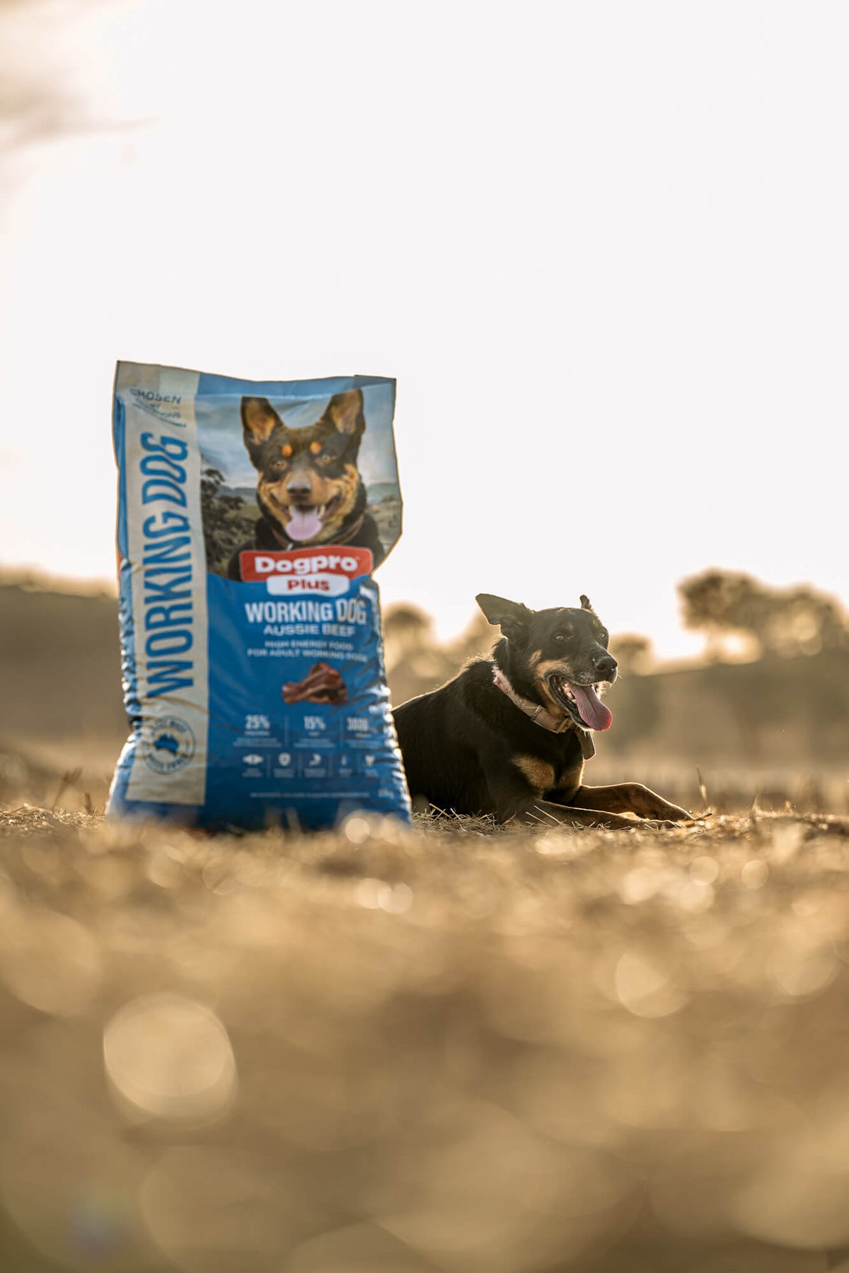 Working Dog Food Australia | Dogpro