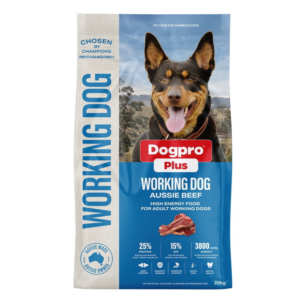 Working Dog