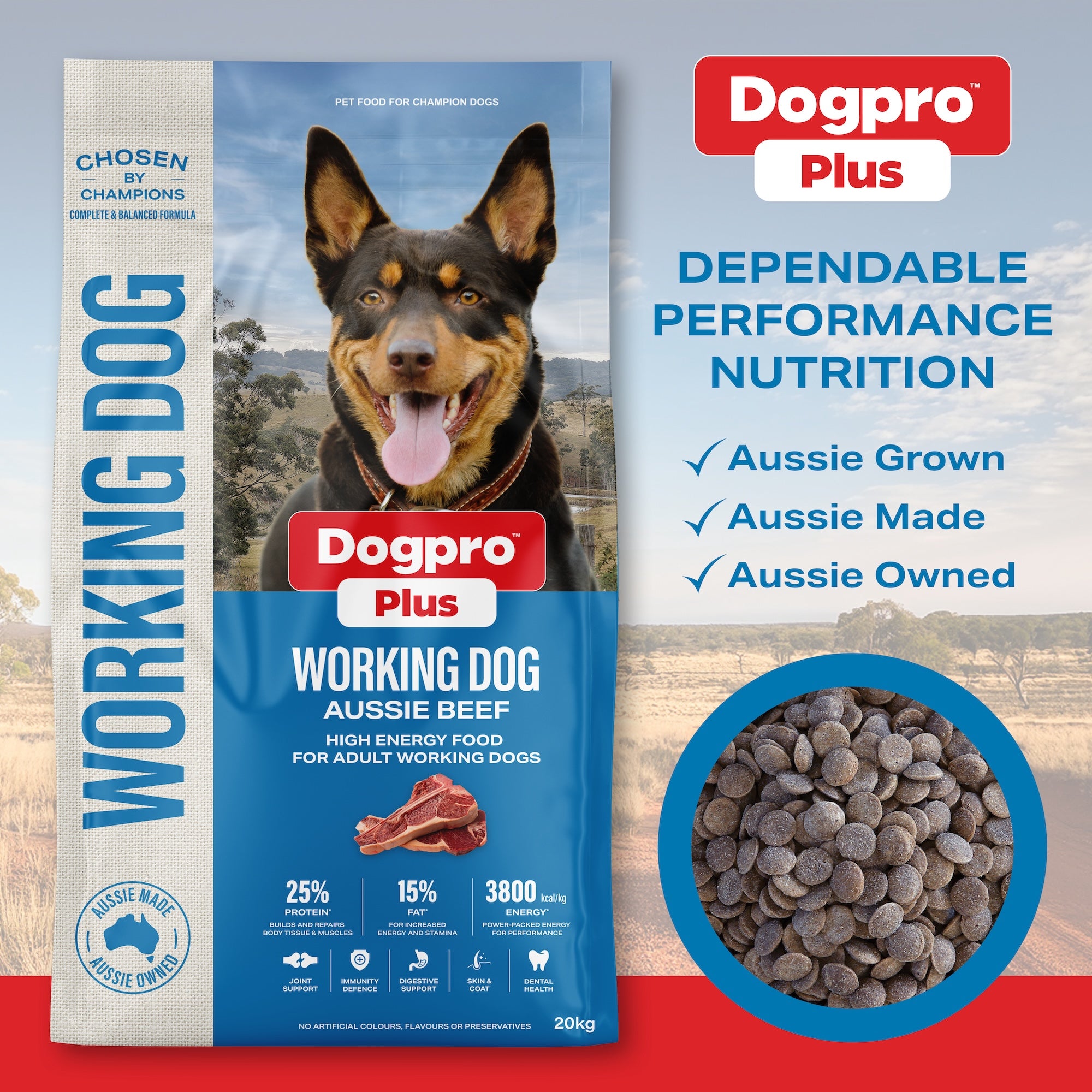 Working Dog