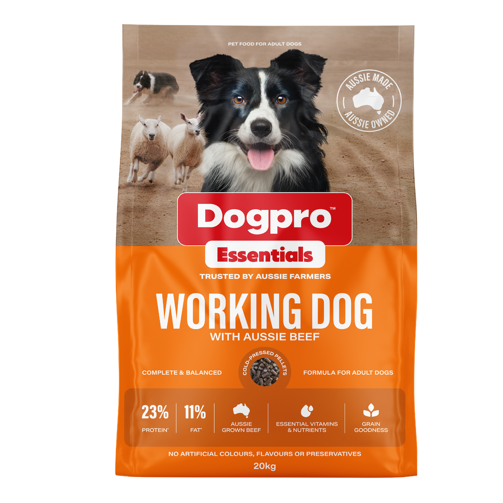 Working Dog