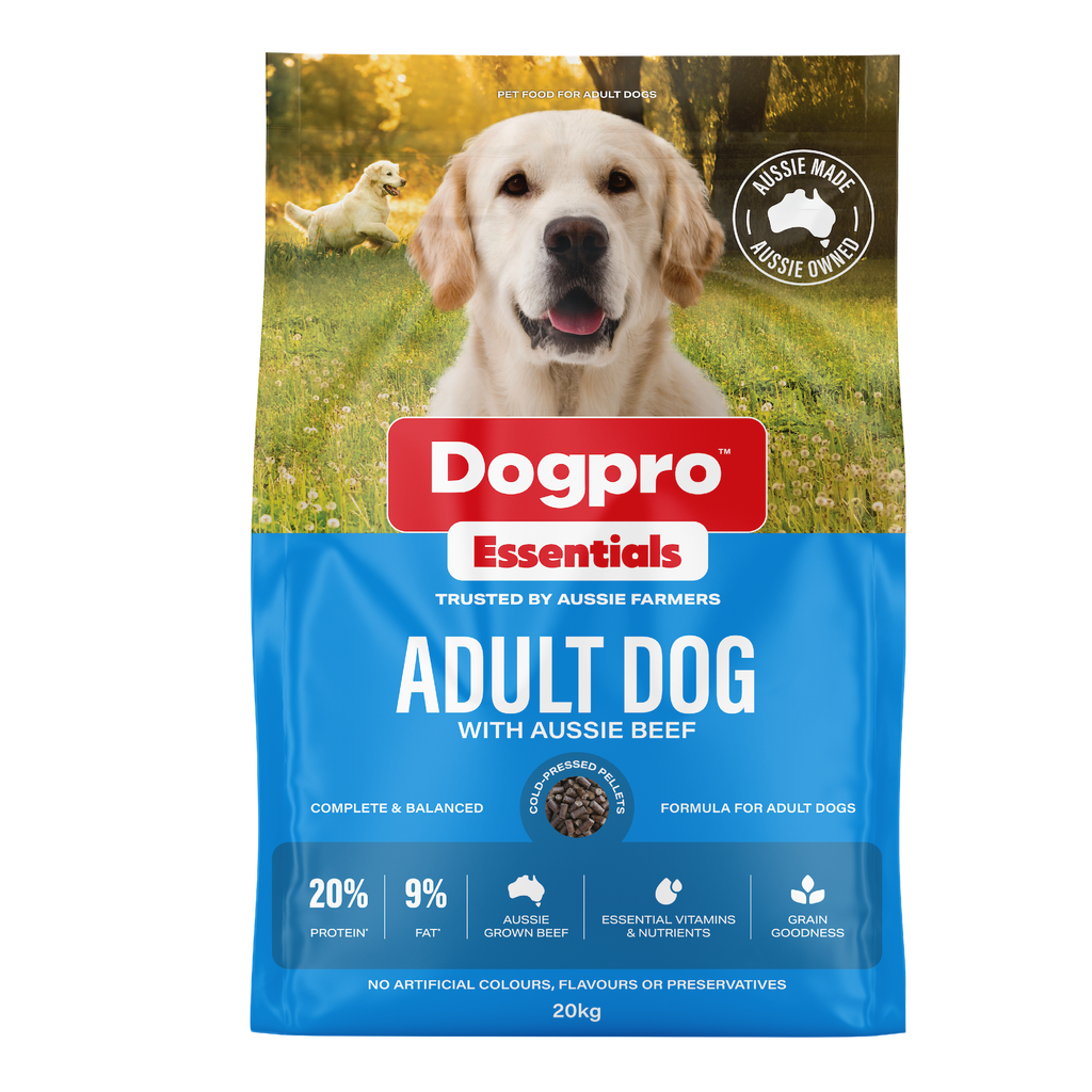 Adult Dog