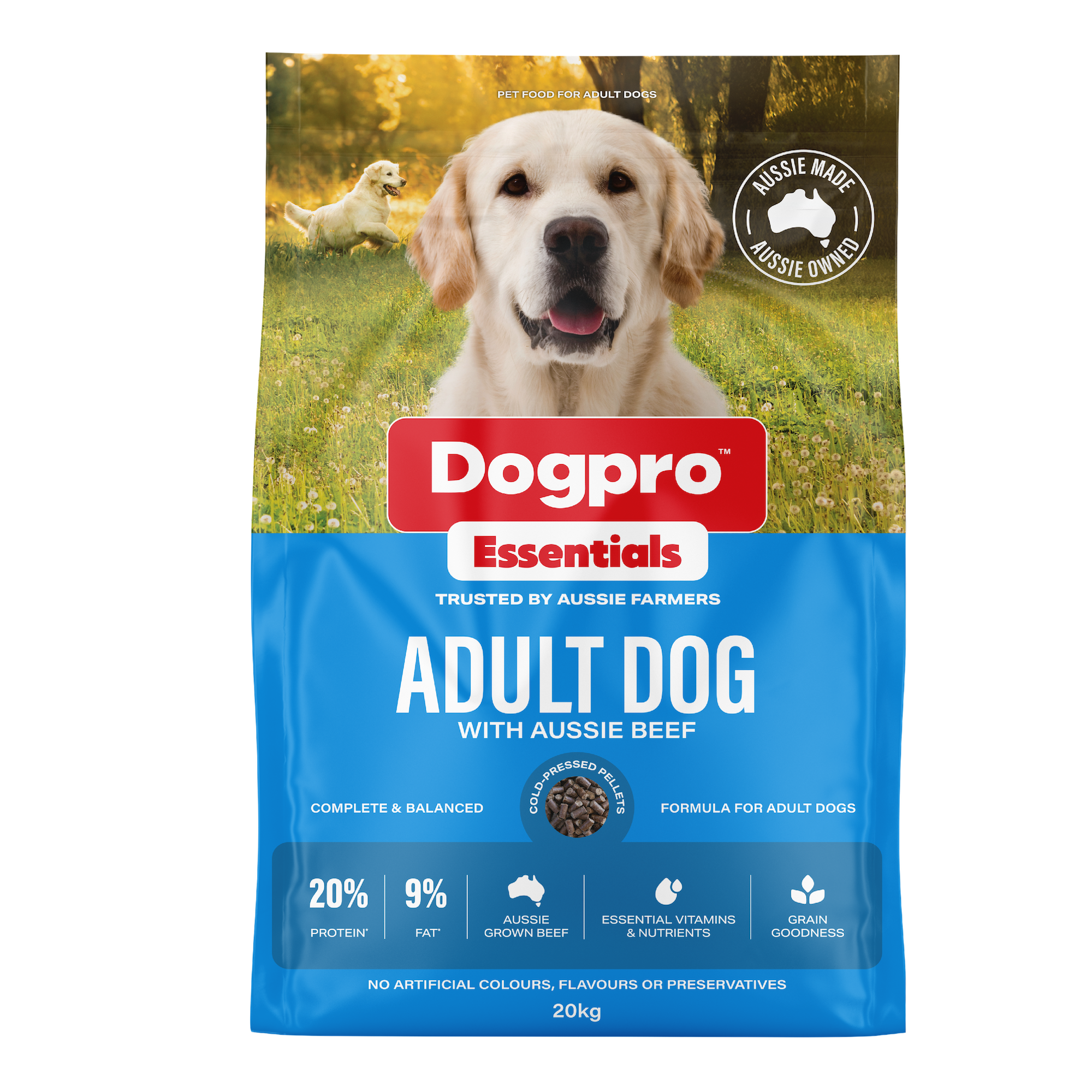 Adult Dog