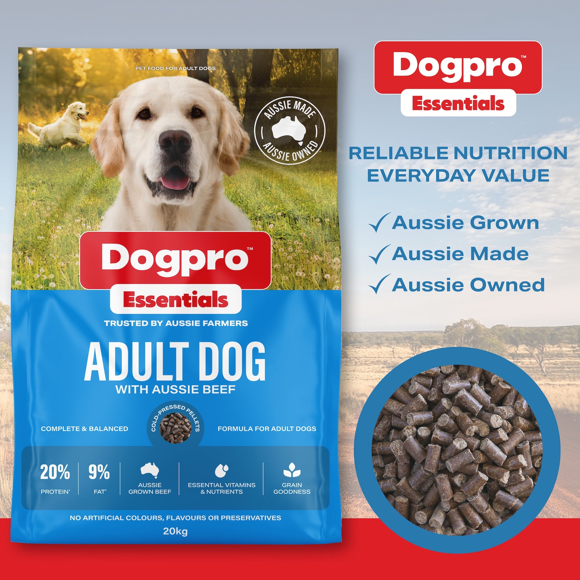 Adult Dog