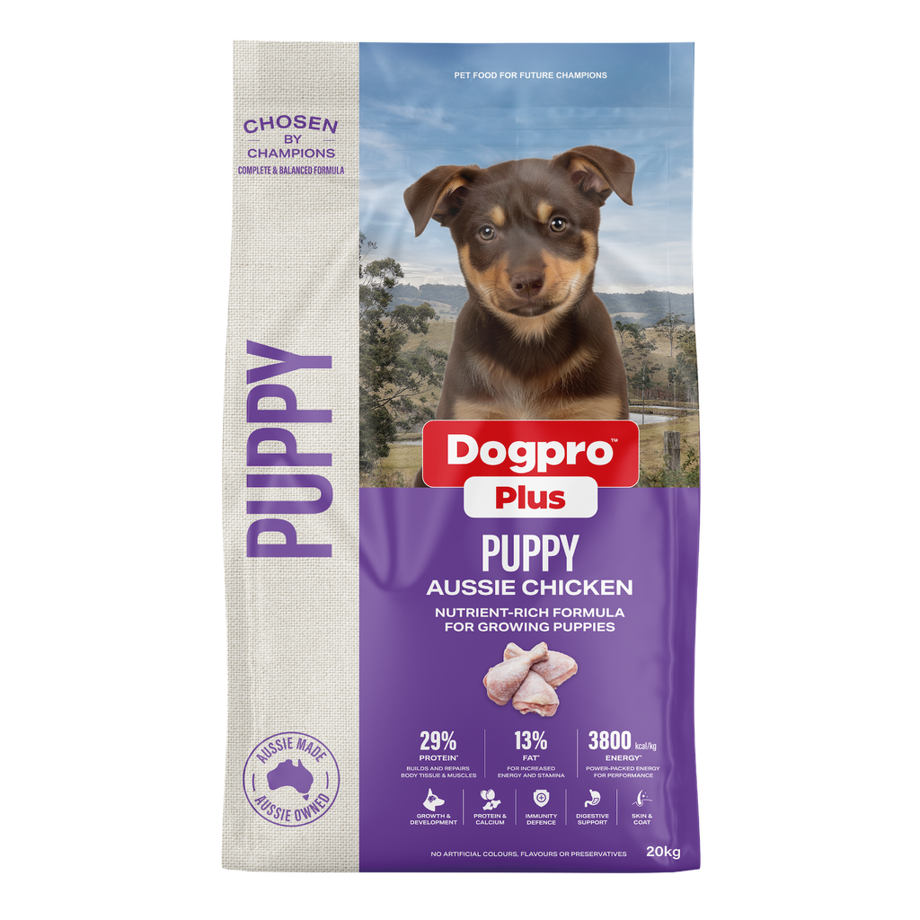 Puppy