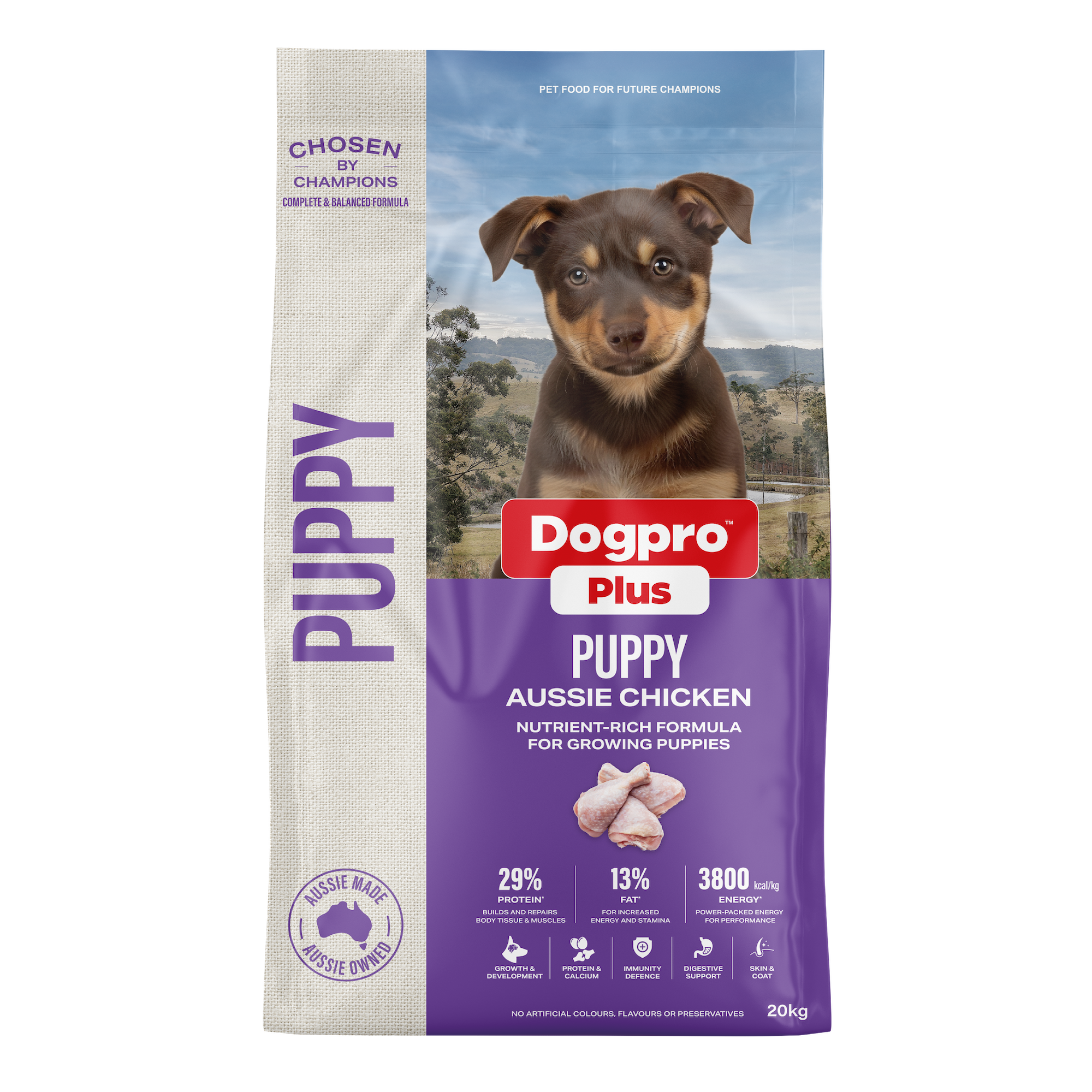 Puppy