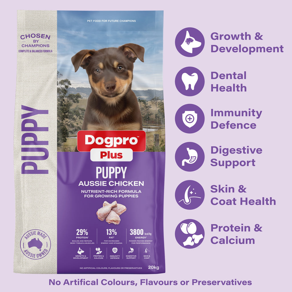 Puppy